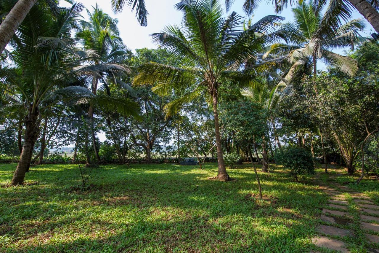 Bara Bungalow South Goa Cavelossim Bagian luar foto